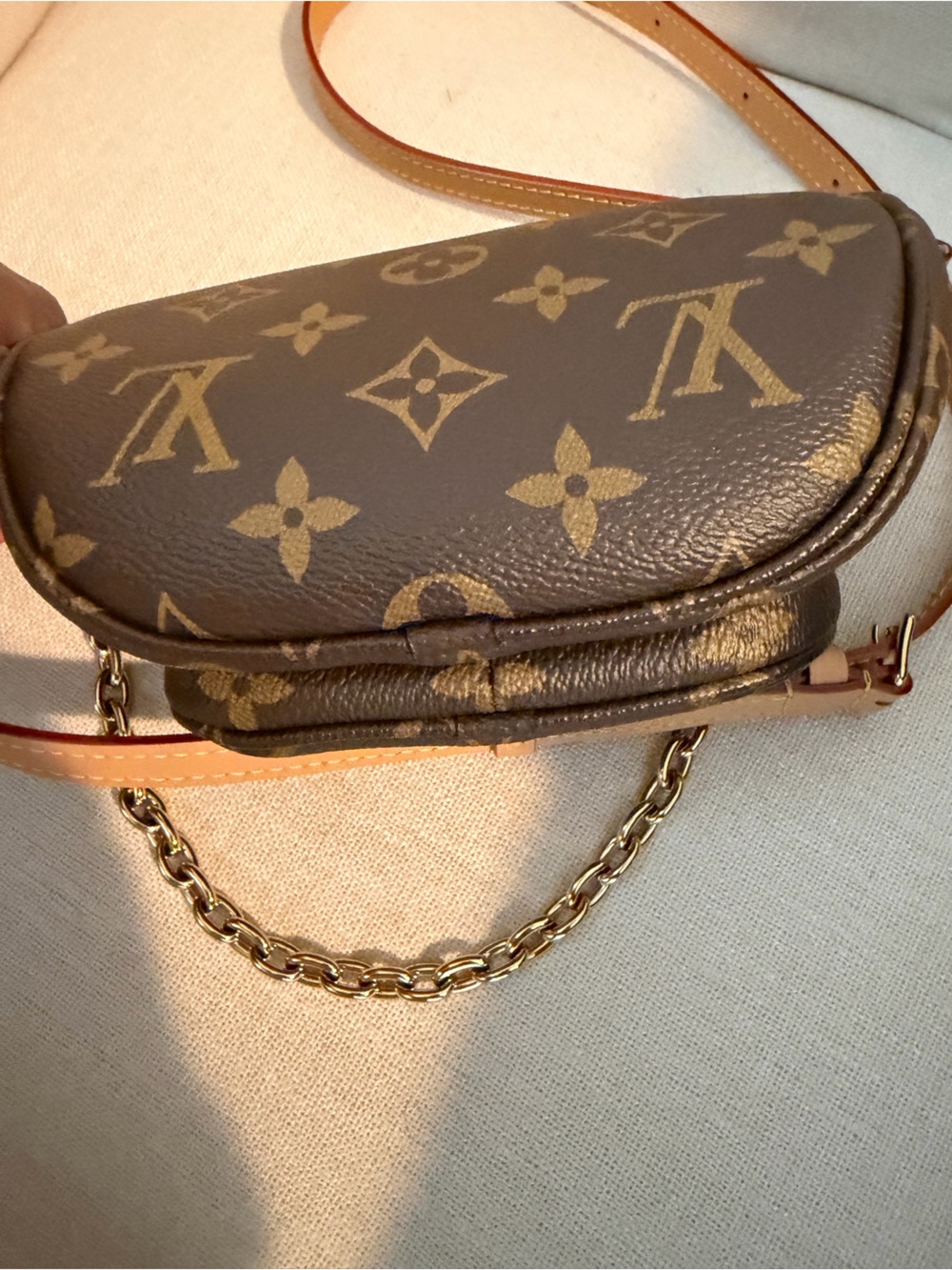 Louis Vuitton Monogram Mini Bag - Brown & Tan - Picture 9 of 13